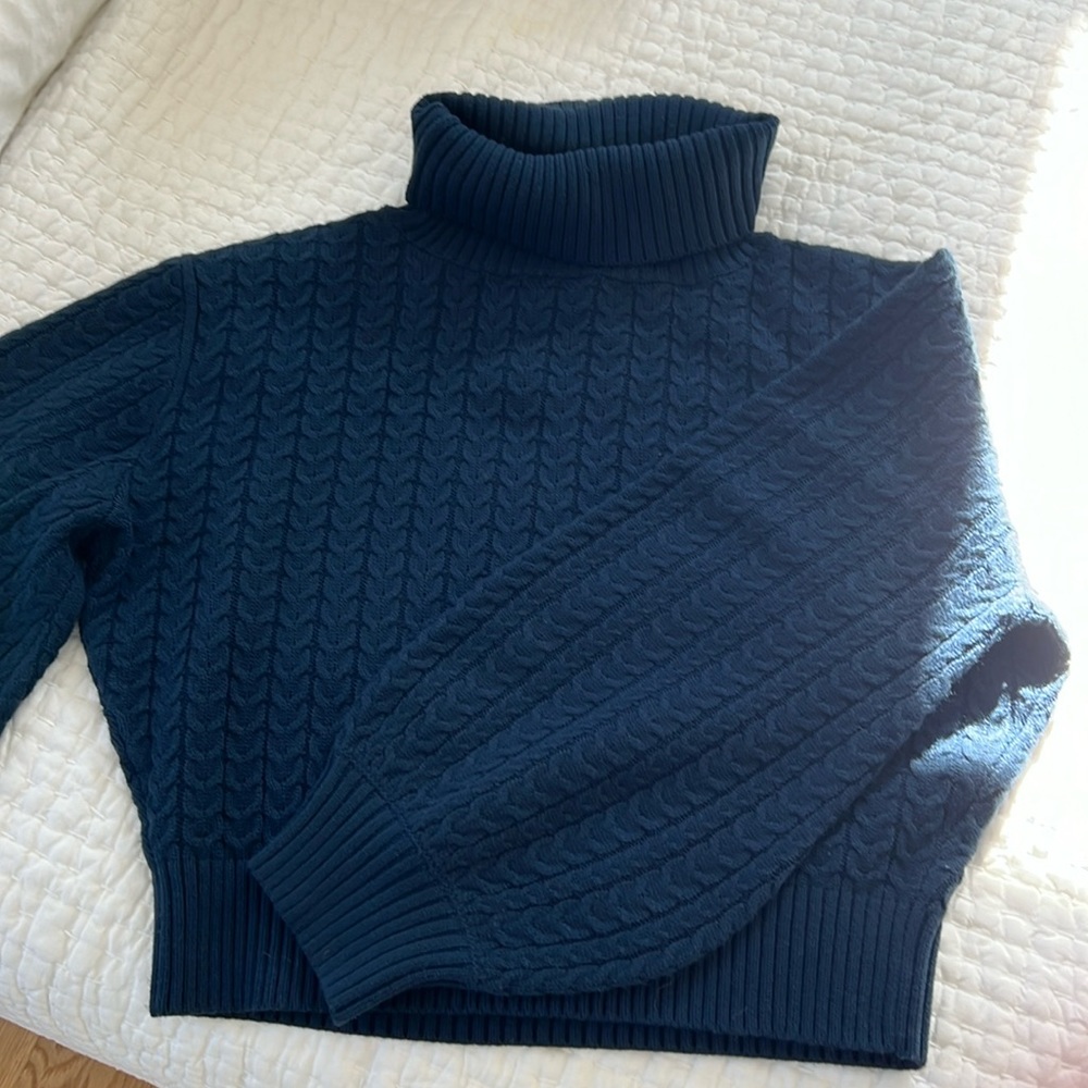 WEWOREWHAT CABLE TURTLENECK SWEATER